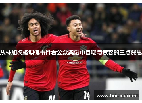 从林加德被调侃事件看公众舆论中自嘲与宽容的三点深思