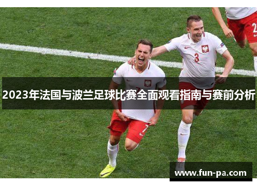 2023年法国与波兰足球比赛全面观看指南与赛前分析