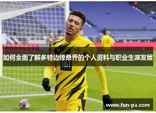 如何全面了解多特边锋桑乔的个人资料与职业生涯发展