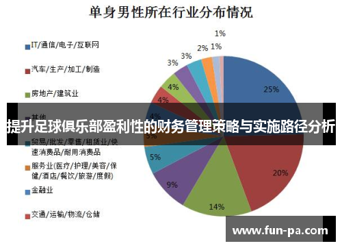 提升足球俱乐部盈利性的财务管理策略与实施路径分析