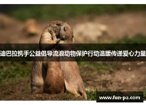 迪巴拉携手公益倡导流浪动物保护行动温暖传递爱心力量