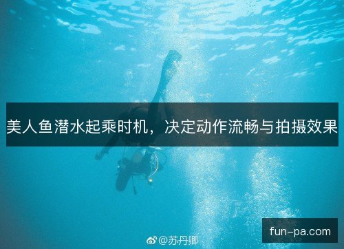 美人鱼潜水起乘时机，决定动作流畅与拍摄效果