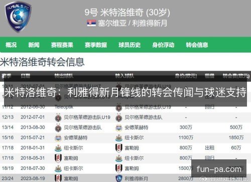 米特洛维奇：利雅得新月锋线的转会传闻与球迷支持